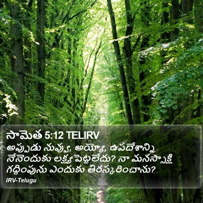 సామెత 5:12 TELIRV Bible Verse Image