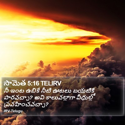 సామెత 5:16 TELIRV Bible Verse Image
