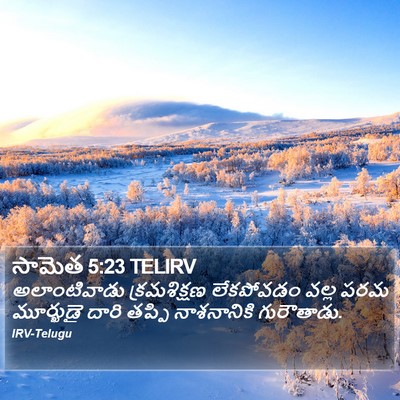సామెత 5:23 TELIRV Bible Verse Image