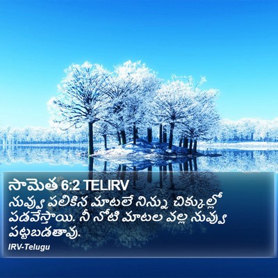 సామెత 6:2 TELIRV Bible Verse Image