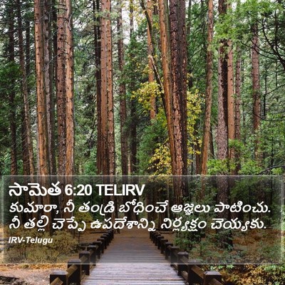 సామెత 6:20 TELIRV Bible Verse Image