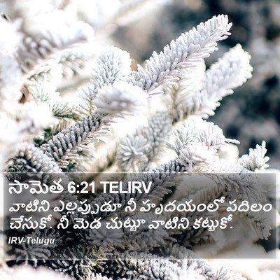 సామెత 6:21 TELIRV Bible Verse Image