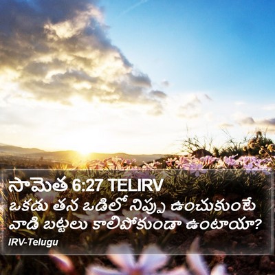 సామెత 6:27 TELIRV Bible Verse Image