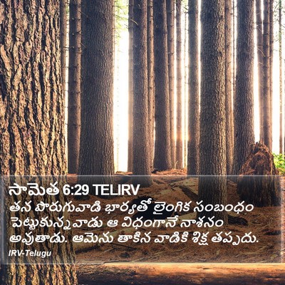 సామెత 6:29 TELIRV Bible Verse Image