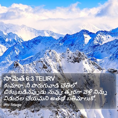 సామెత 6:3 TELIRV Bible Verse Image