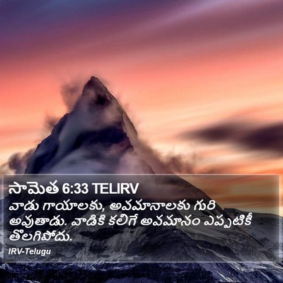 సామెత 6:33 TELIRV Bible Verse Image