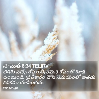 సామెత 6:34 TELIRV Bible Verse Image