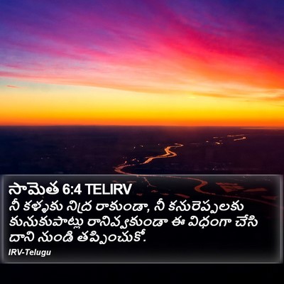 సామెత 6:4 TELIRV Bible Verse Image