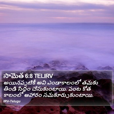 సామెత 6:8 TELIRV Bible Verse Image