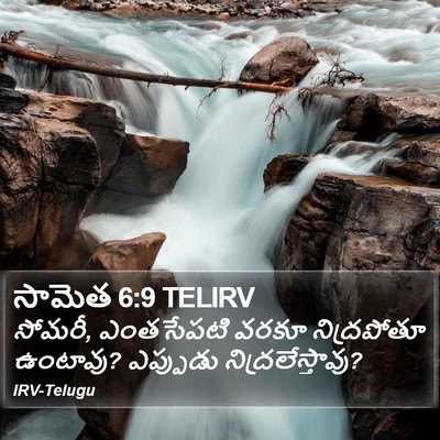 సామెత 6:9 TELIRV Bible Verse Image