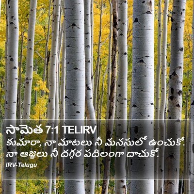 సామెత 7:1 TELIRV Bible Verse Image