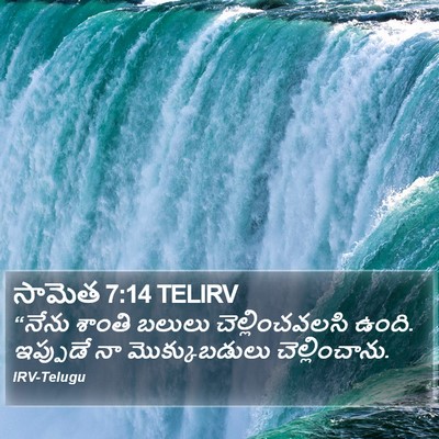 సామెత 7:14 TELIRV Bible Verse Image