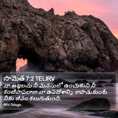 సామెత 7:2 TELIRV Bible Verse Image