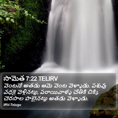 సామెత 7:22 TELIRV Bible Verse Image