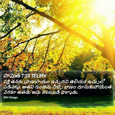 సామెత 7:23 TELIRV Bible Verse Image