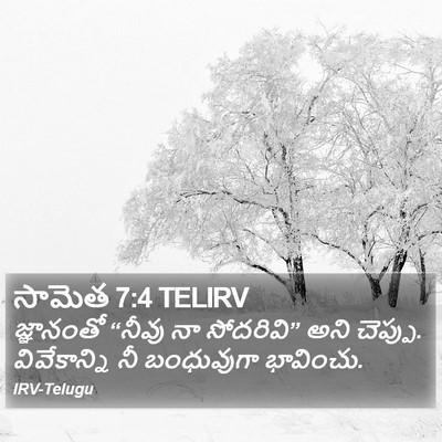 సామెత 7:4 TELIRV Bible Verse Image