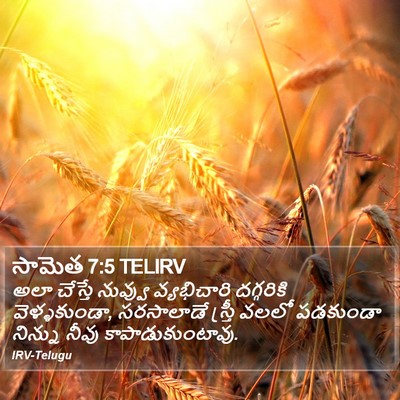సామెత 7:5 TELIRV Bible Verse Image