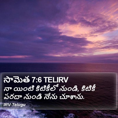 సామెత 7:6 TELIRV Bible Verse Image