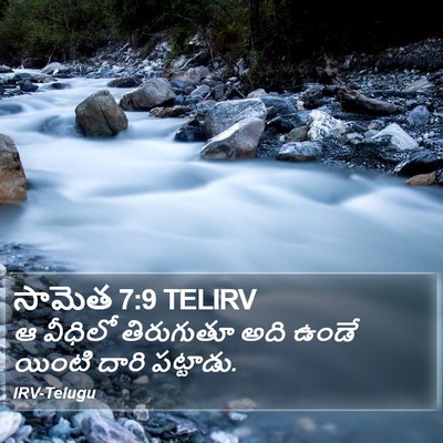 సామెత 7:9 TELIRV Bible Verse Image