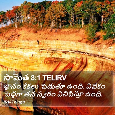 సామెత 8:1 TELIRV Bible Verse Image