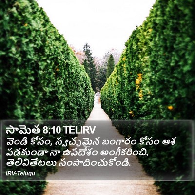 సామెత 8:10 TELIRV Bible Verse Image