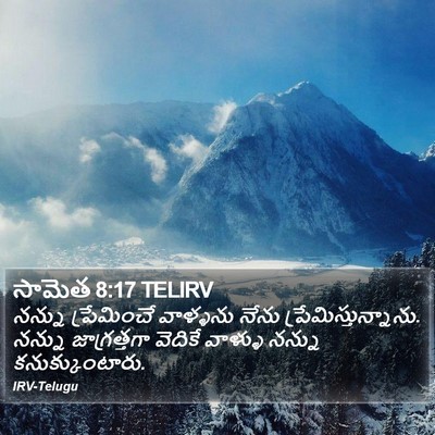 సామెత 8:17 TELIRV Bible Verse Image