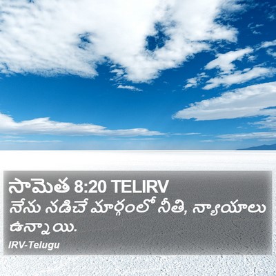 సామెత 8:20 TELIRV Bible Verse Image