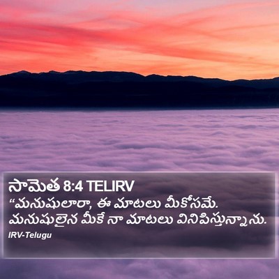 సామెత 8:4 TELIRV Bible Verse Image