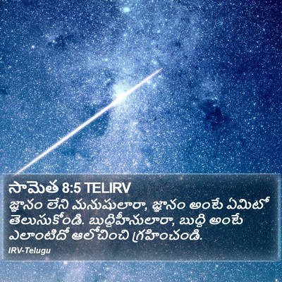 సామెత 8:5 TELIRV Bible Verse Image