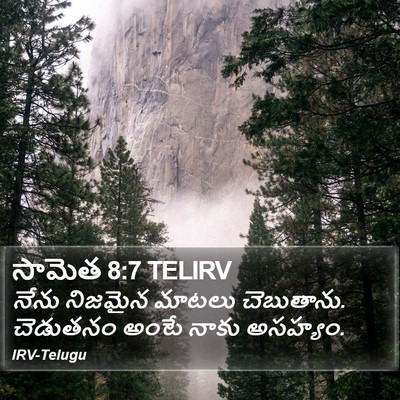 సామెత 8:7 TELIRV Bible Verse Image