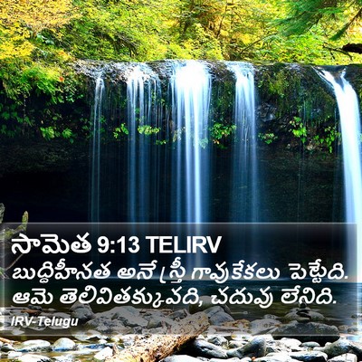 సామెత 9:13 TELIRV Bible Verse Image
