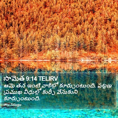 సామెత 9:14 TELIRV Bible Verse Image