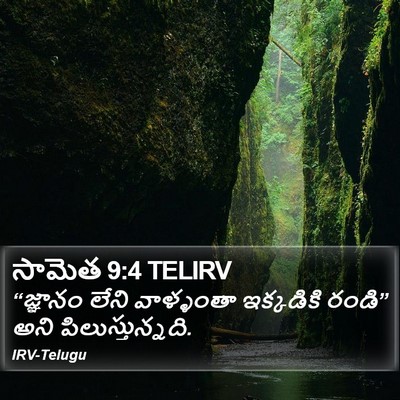 సామెత 9:4 TELIRV Bible Verse Image