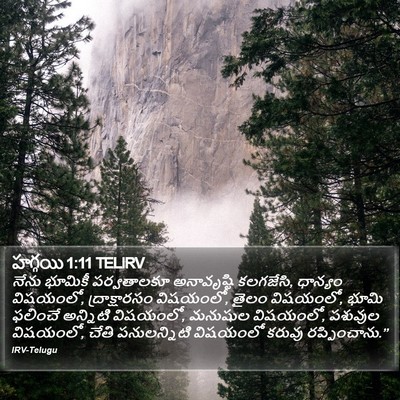 హగ్గయి 1:11 TELIRV Bible Verse Image
