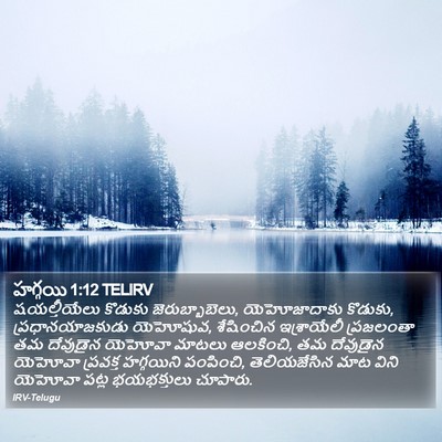 హగ్గయి 1:12 TELIRV Bible Verse Image
