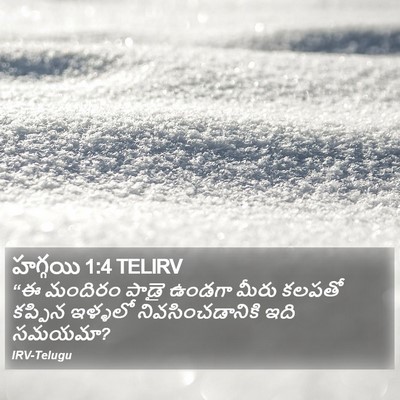 హగ్గయి 1:4 TELIRV Bible Verse Image
