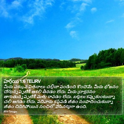 హగ్గయి 1:6 TELIRV Bible Verse Image