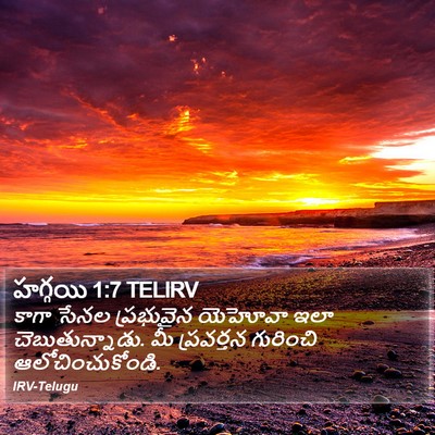 హగ్గయి 1:7 TELIRV Bible Verse Image