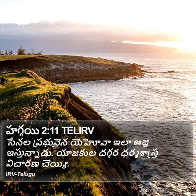 హగ్గయి 2:11 TELIRV Bible Verse Image