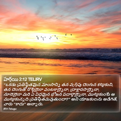హగ్గయి 2:12 TELIRV Bible Verse Image