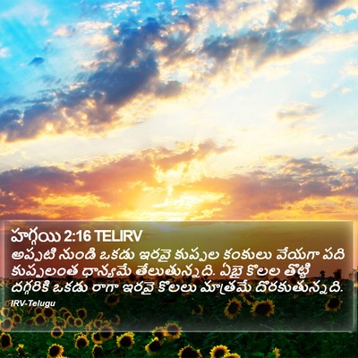 హగ్గయి 2:16 TELIRV Bible Verse Image
