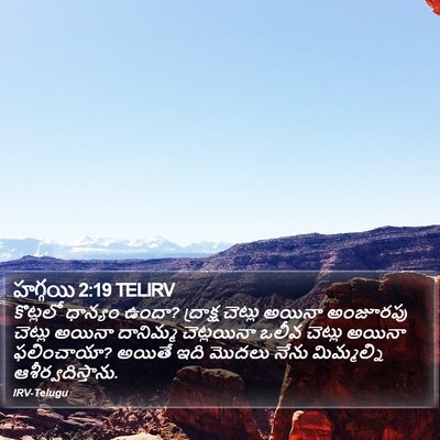 హగ్గయి 2:19 TELIRV Bible Verse Image