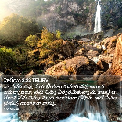 హగ్గయి 2:23 TELIRV Bible Verse Image