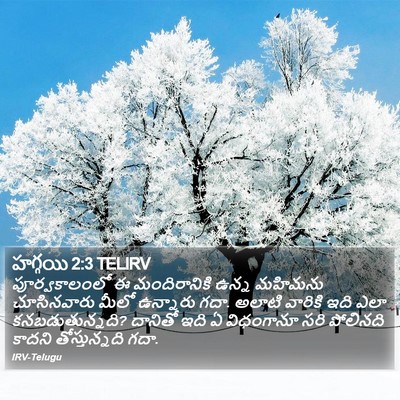 హగ్గయి 2:3 TELIRV Bible Verse Image