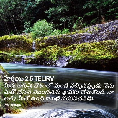 హగ్గయి 2:5 TELIRV Bible Verse Image