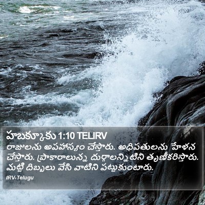 హబక్కూకు 1:10 TELIRV Bible Verse Image