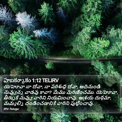 హబక్కూకు 1:12 TELIRV Bible Verse Image