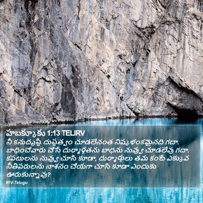 హబక్కూకు 1:13 TELIRV Bible Verse Image