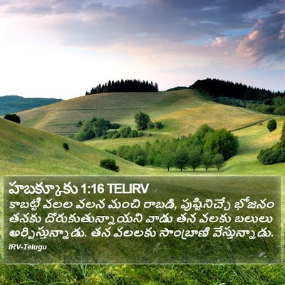 హబక్కూకు 1:16 TELIRV Bible Verse Image