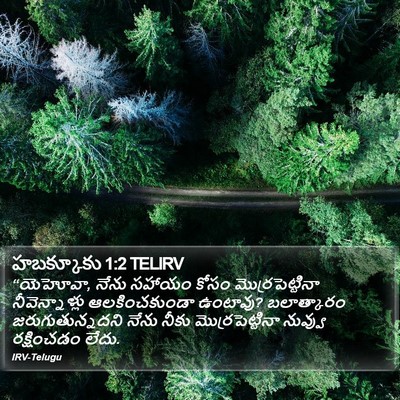 హబక్కూకు 1:2 TELIRV Bible Verse Image